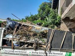 Best Same-Day Junk Removal Services  in Orange Park, FL